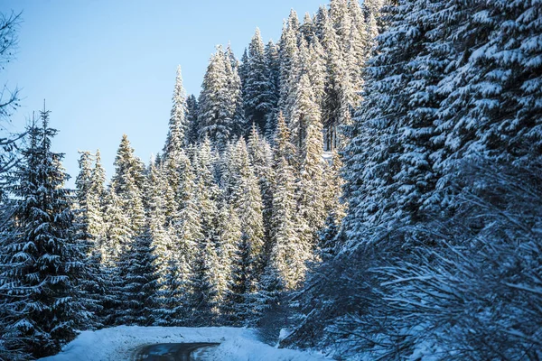Paisaje Nieve Cubierto Montañas Invierno — Foto de Stock