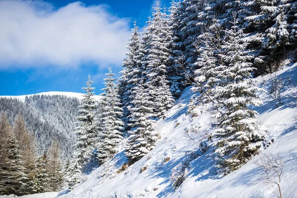 Paisaje Nieve Cubierto Montañas Invierno — Foto de Stock