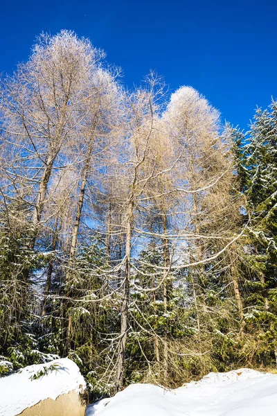Landschap Van Besneeuwde Winterbergen — Stockfoto