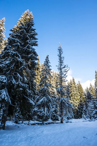 Paisaje Nieve Cubierto Montañas Invierno — Foto de Stock