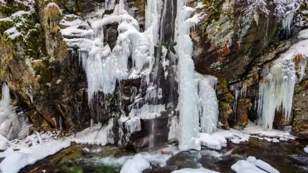 Gefrorener Wasserfall Wald — Stockvideo