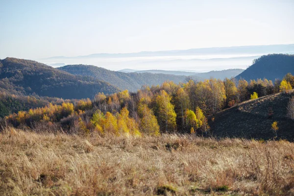 Landsbygdslandskap Höstsäsongen Höstträd — Stockfoto