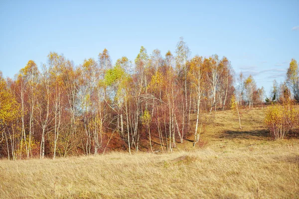 Hallå Höst Landskap Hösten — Stockfoto
