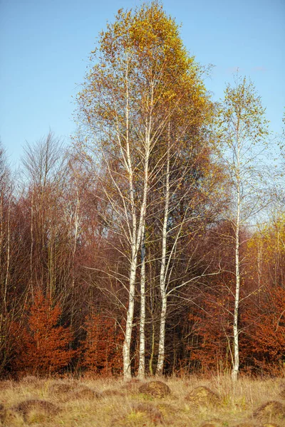 Hello Autumn Countryside Landscape Fall Season — Stock Photo, Image