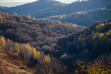 Sonbahar mevsiminde kırsal arazi tepeleri, sonbahar ağaçları
