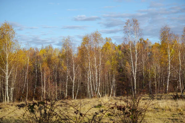 Hola Otoño Paisaje Rural Temporada Otoño — Foto de Stock