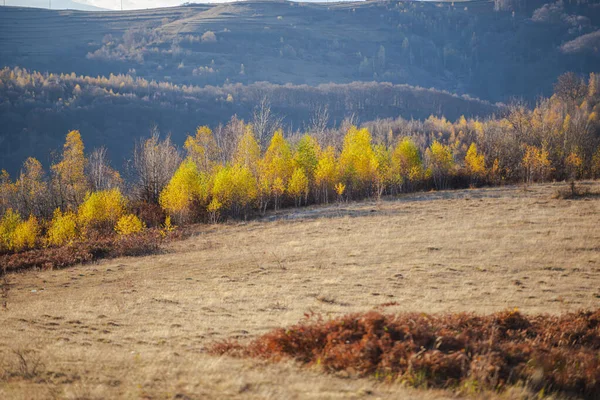 Сельская Местность Осенний Сезон — стоковое фото