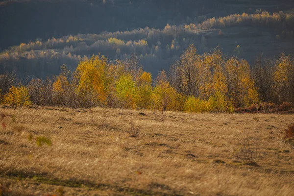 Sonbahar Mevsiminde Kırsal Alan — Stok fotoğraf
