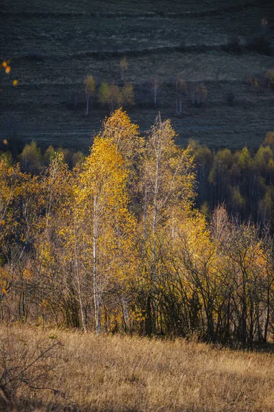 Landschaft Herbst — Stockfoto