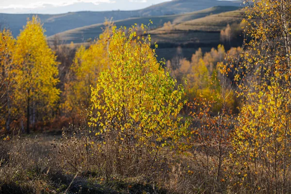 countryside landscape in autumn season