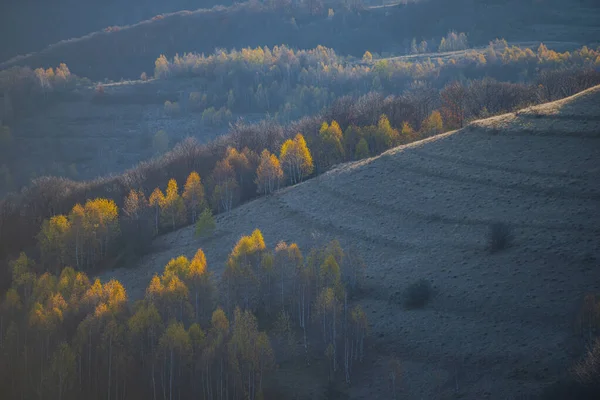 countryside landscape in autumn season