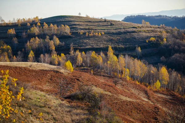 Sonbahar Mevsiminde Kırsal Arazi Tepeleri Sonbahar Ağaçları — Stok fotoğraf