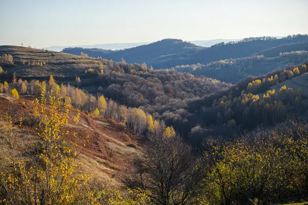 Landschaft Hügel Herbst Bäume Herbst — Stockfoto