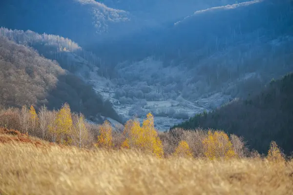 Paisaje Rural Colinas Temporada Otoño Árboles Otoño — Foto de Stock