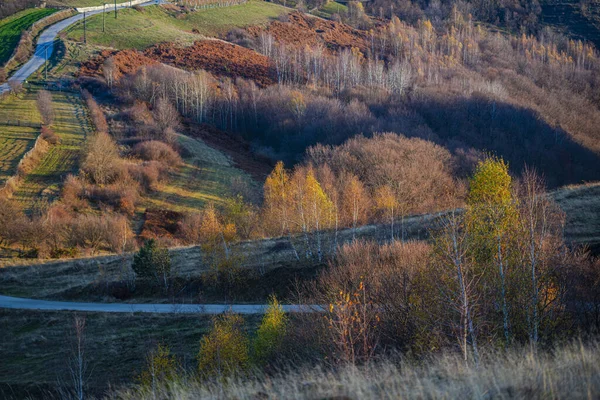 Paisaje Rural Temporada Otoño Carretera Asfaltada —  Fotos de Stock