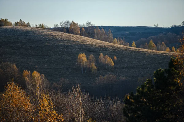 Sonbahar Mevsiminde Kırsal Arazi Tepeleri Sonbahar Ağaçları — Stok fotoğraf