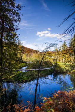 Sonbahar ormanlarında ağaçlı gölet