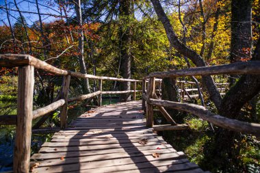 Sonbahar ormanındaki ahşap köprü, nehir akışı 