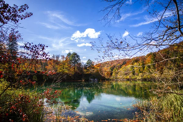 秋の森の中の湖 — ストック写真