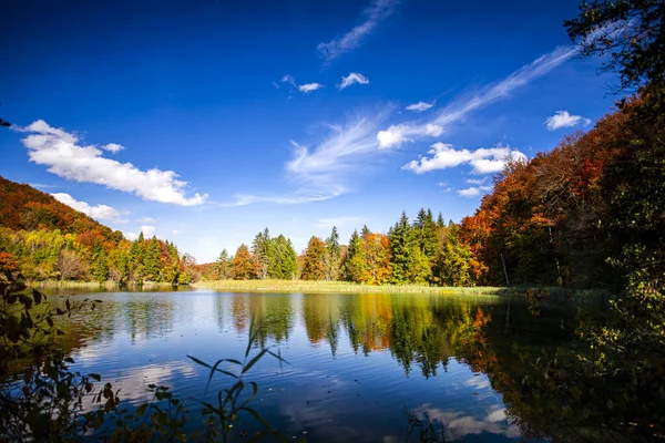 Jezero Podzimním Lese Stromy — Stock fotografie