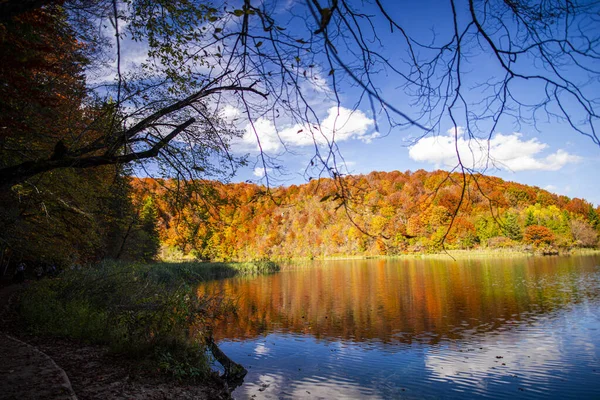 Lago Floresta Outono Com Árvores — Fotografia de Stock