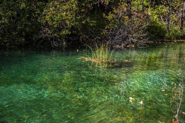 Спокійна Озерна Вода Природі — стокове фото