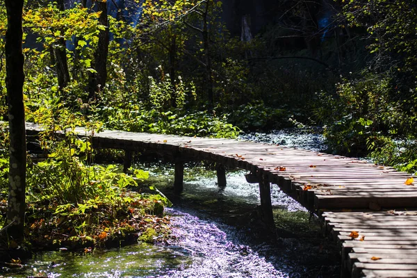 Drewniany Most Jesiennym Lesie Przepływ Rzeki — Zdjęcie stockowe