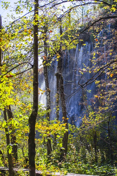 Waterval Herfstbos Natuur Herfstseizoen — Stockfoto