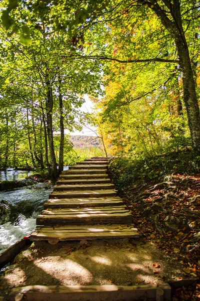 Φθινόπωρο Στο Πάρκο Ξύλινα Σκαλοπάτια Μονοπάτι Και Ρέοντας Ποτάμι — Φωτογραφία Αρχείου