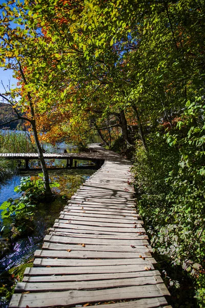 Осінь Парку Дерев Яні Доріжки Сходи Тече Річка — стокове фото