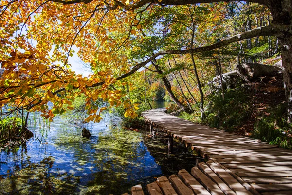 Осень Парке Деревянная Лестница Текущая Река — стоковое фото