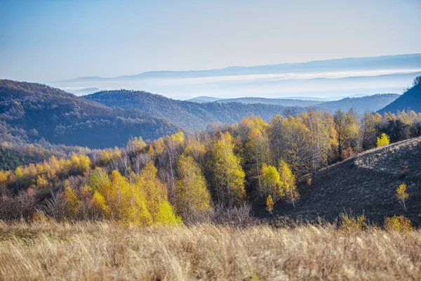 Осенний Пейзаж Красочными Деревьями Голубым Небом — стоковое фото