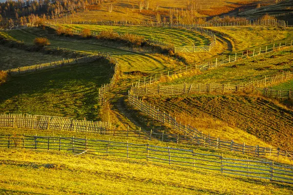 Herfst Flora Landbouwgrond Gearchiveerd Met Hekken — Stockfoto