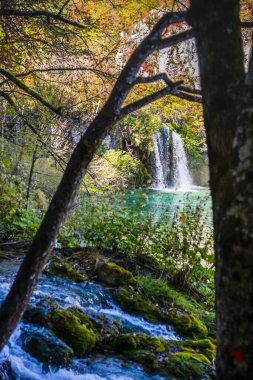 Ormanda, doğada ve gölde çağlayan şelale