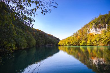 Orman, çevre ve milli parktaki göl