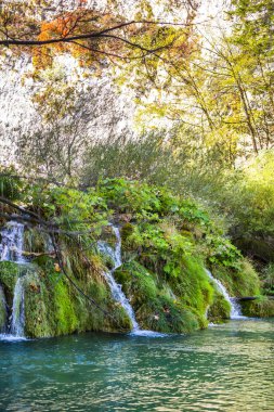 Ormanda, doğada ve gölde çağlayan şelale