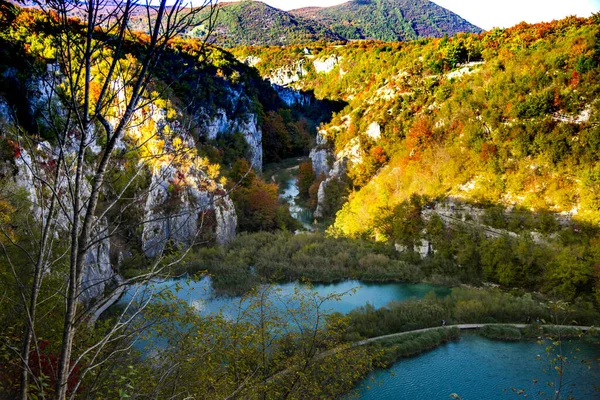 Hermoso Lago Bosque Naturaleza Medio Ambiente —  Fotos de Stock