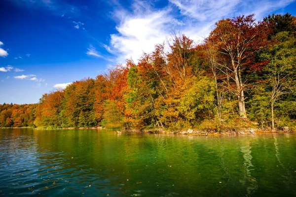 Lago Bosque Medio Ambiente Parque Nacional — Foto de Stock