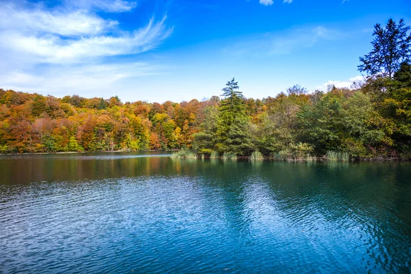 Lake Forest Environment National Park — Stock Photo, Image