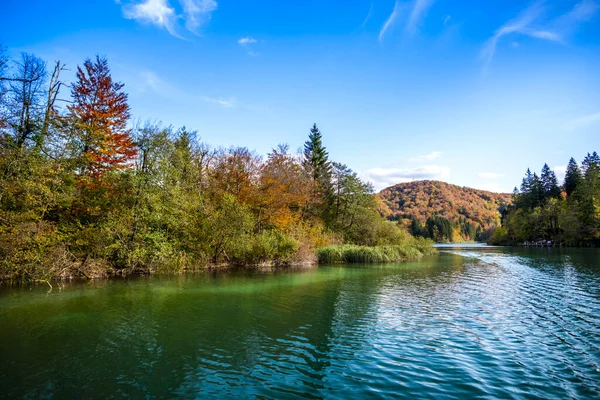 Lago Bosque Medio Ambiente Parque Nacional — Foto de Stock