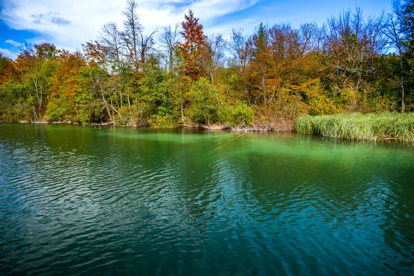 Lago Bosque Medio Ambiente Parque Nacional — Foto de Stock