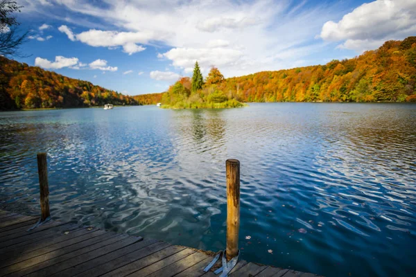 Jezero Lese Životním Prostředí Národním Parku — Stock fotografie