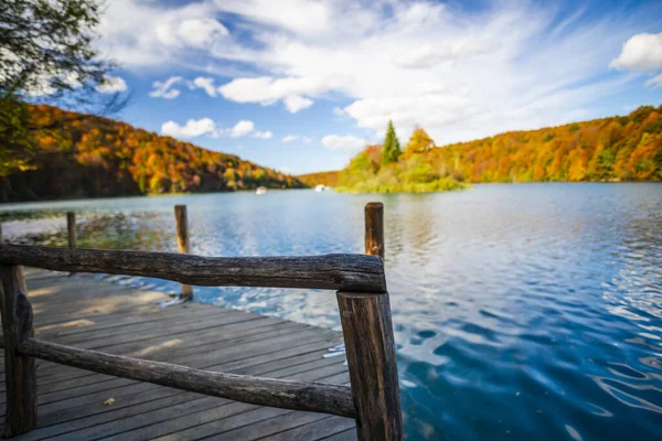 Krásné Jezero Lese Přírodě Životním Prostředí — Stock fotografie