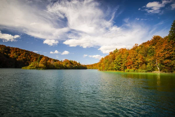 Jezero Lese Životním Prostředí Národním Parku — Stock fotografie