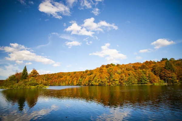 Lago Bosque Medio Ambiente Parque Nacional — Foto de Stock