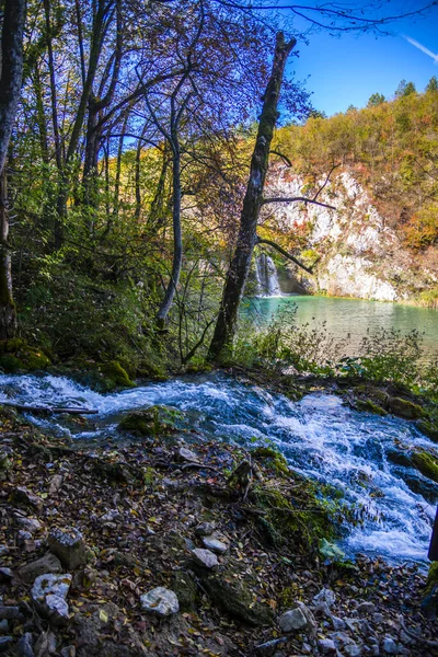 Flowing Waterfall Forest Nature Lake — Stock Photo, Image