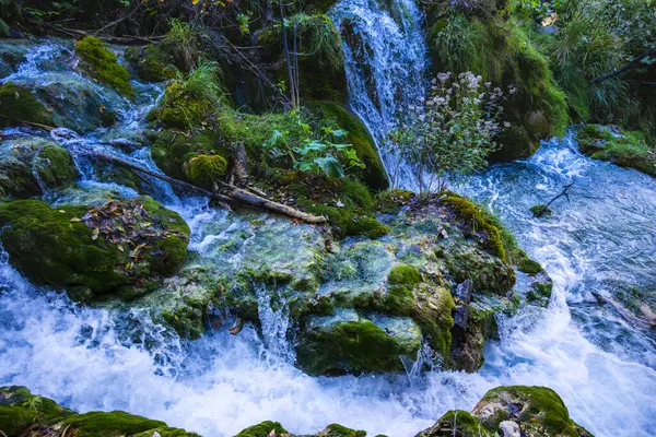 森の中を流れる滝自然 — ストック写真