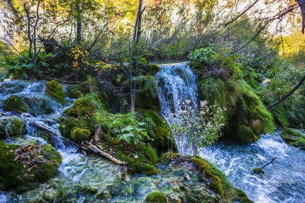 Cachoeira Fluindo Floresta Natureza Lago — Fotografia de Stock