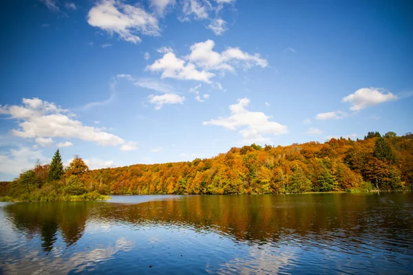 Озеро Лесу Окружающей Среде Национальном Парке Стоковая Картинка