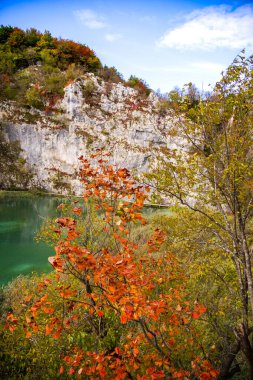 Ormandaki göl, çevre ve ağaçlı milli park